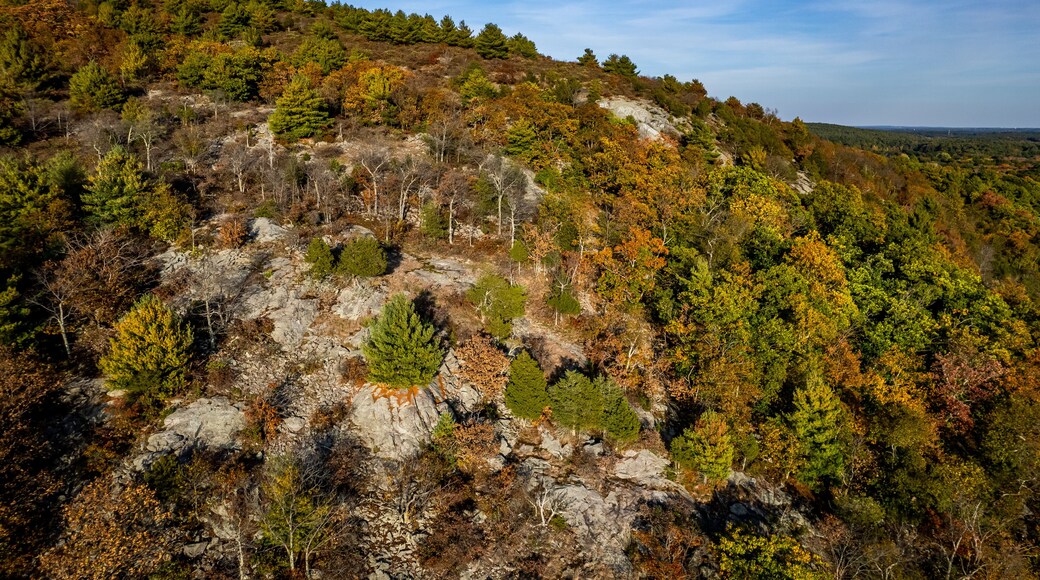 Estación de esquí Blue Hills