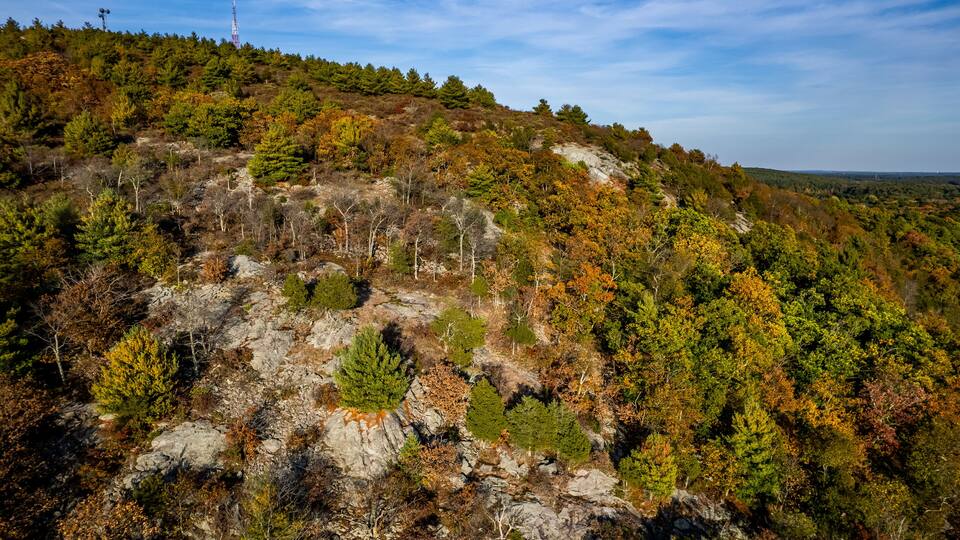 A mountainous landscape with dense forests and rocky terrain.