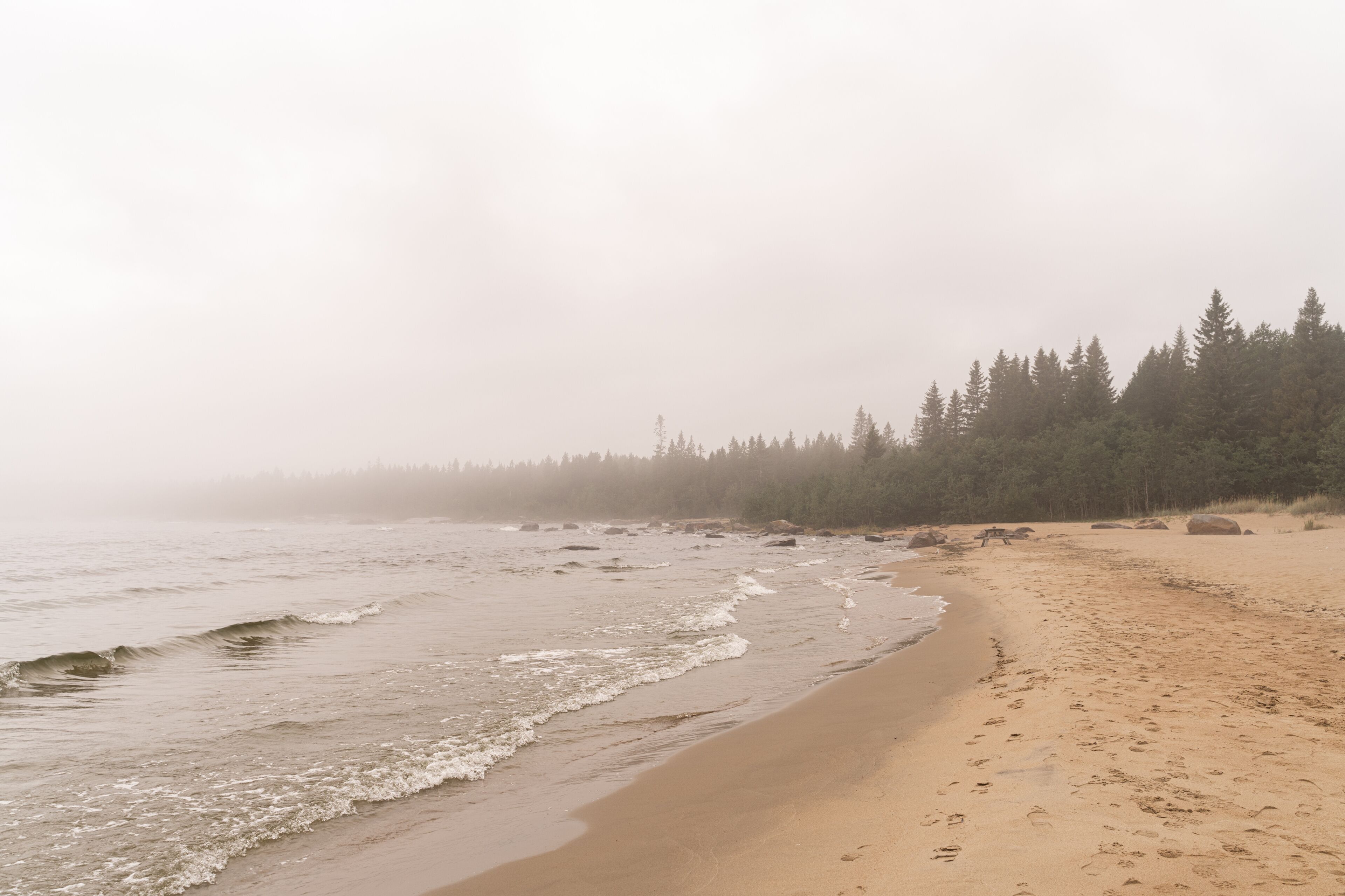 Foggy Beach on High Coast
