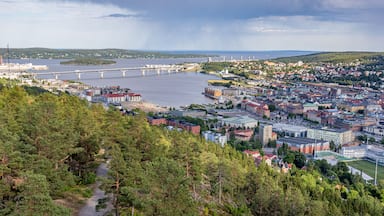 A coastal city with a bridge over a river, surrounded by dense forests and hills.