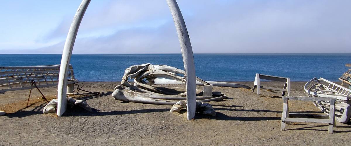 the iconic whale bone arch next to the arctic sea on a sunny summer day in the far north of barrow, alaska