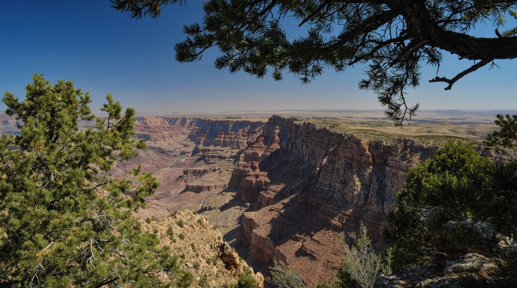 An early morning stop along the South Rim as we made our way towards Antelope Canyon.