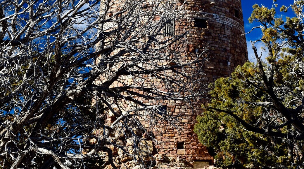 The Desert View Watchtower was designed by architect Mary Colter and mimics the style of Ancestral Puebloan towers. There are 85 steps you can climb inside the tower to take in the view from 70 feet above the observation area. Below, you’ll see the Colorado River at the bottom of the canyon and sweeping views to the east and west. There are large parking lots, a gift shop, a cafe and restrooms located around the immediate area. The overlook is accessible but not the structure itself.
#GrandCanyon #Perspectives