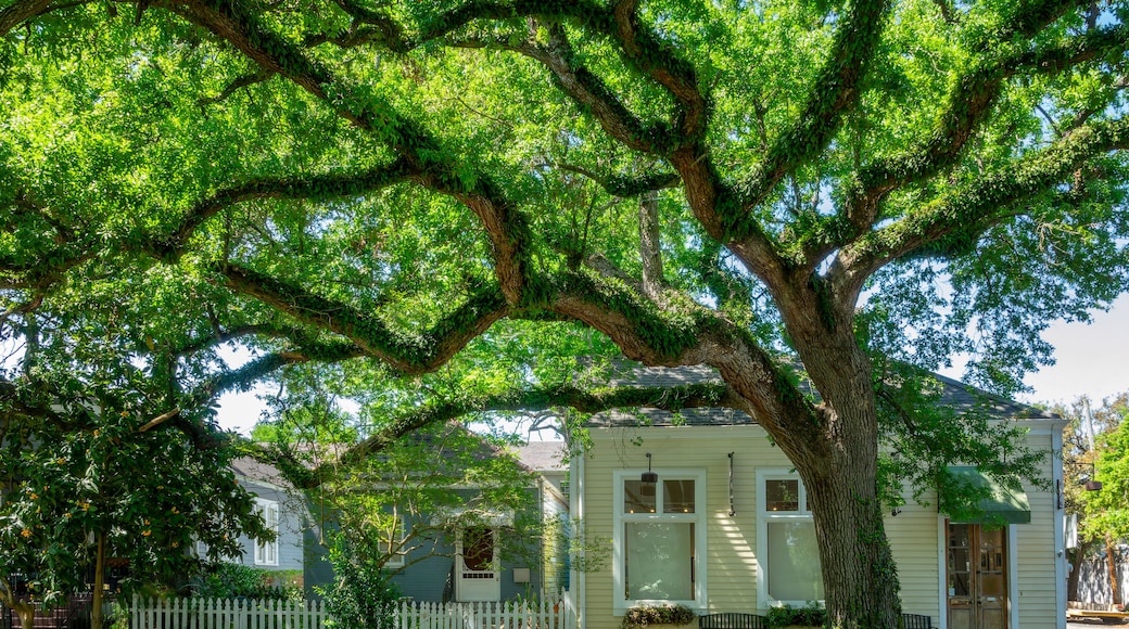 Uptown Historiske Distrikt