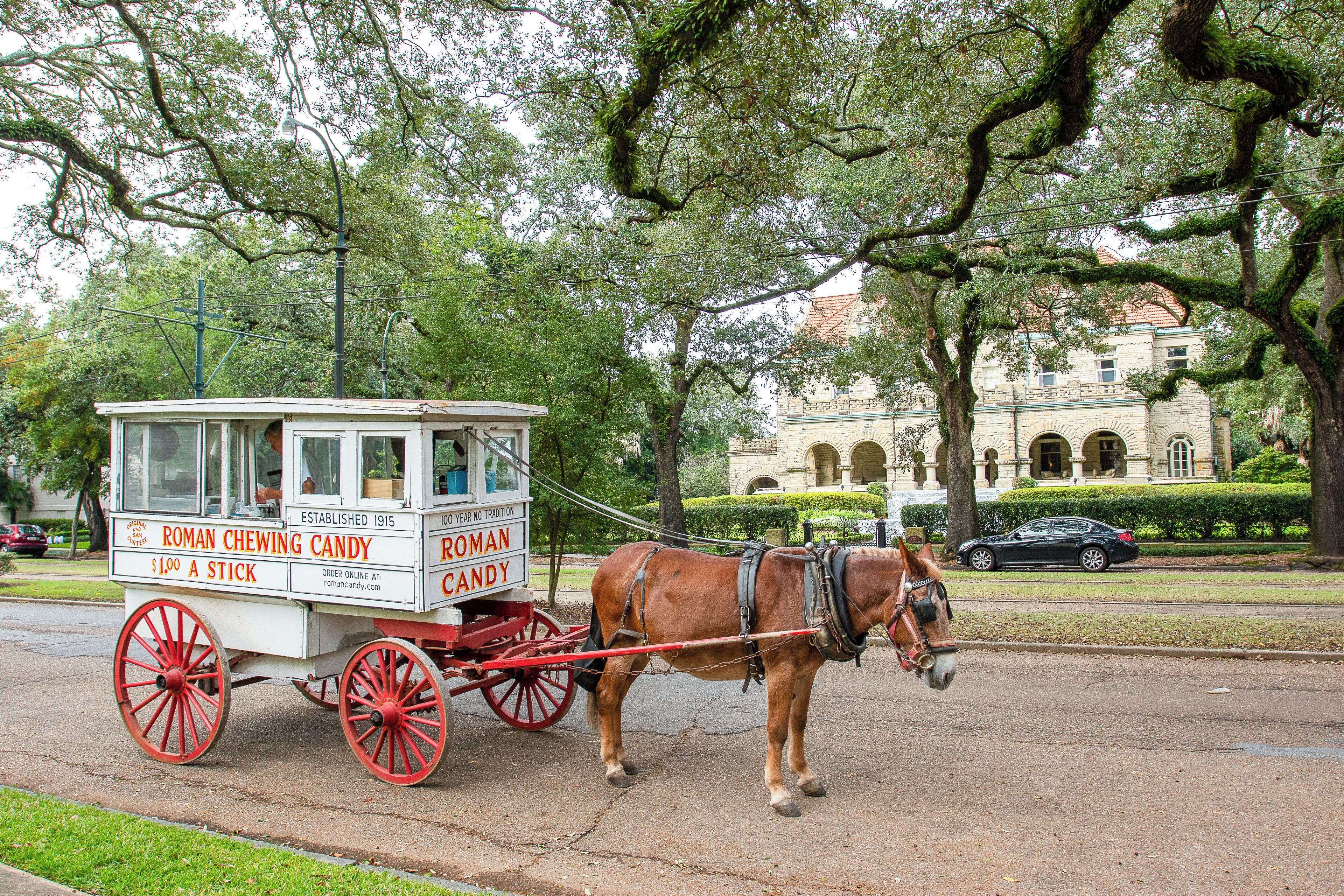 NewOrleans_UptownHistDistrict_6228907-7