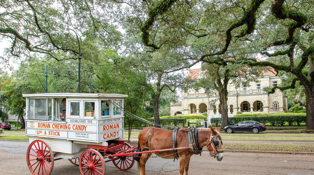 Uptown Historic District