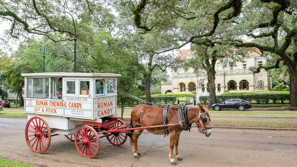 NewOrleans_UptownHistDistrict_6228907-7