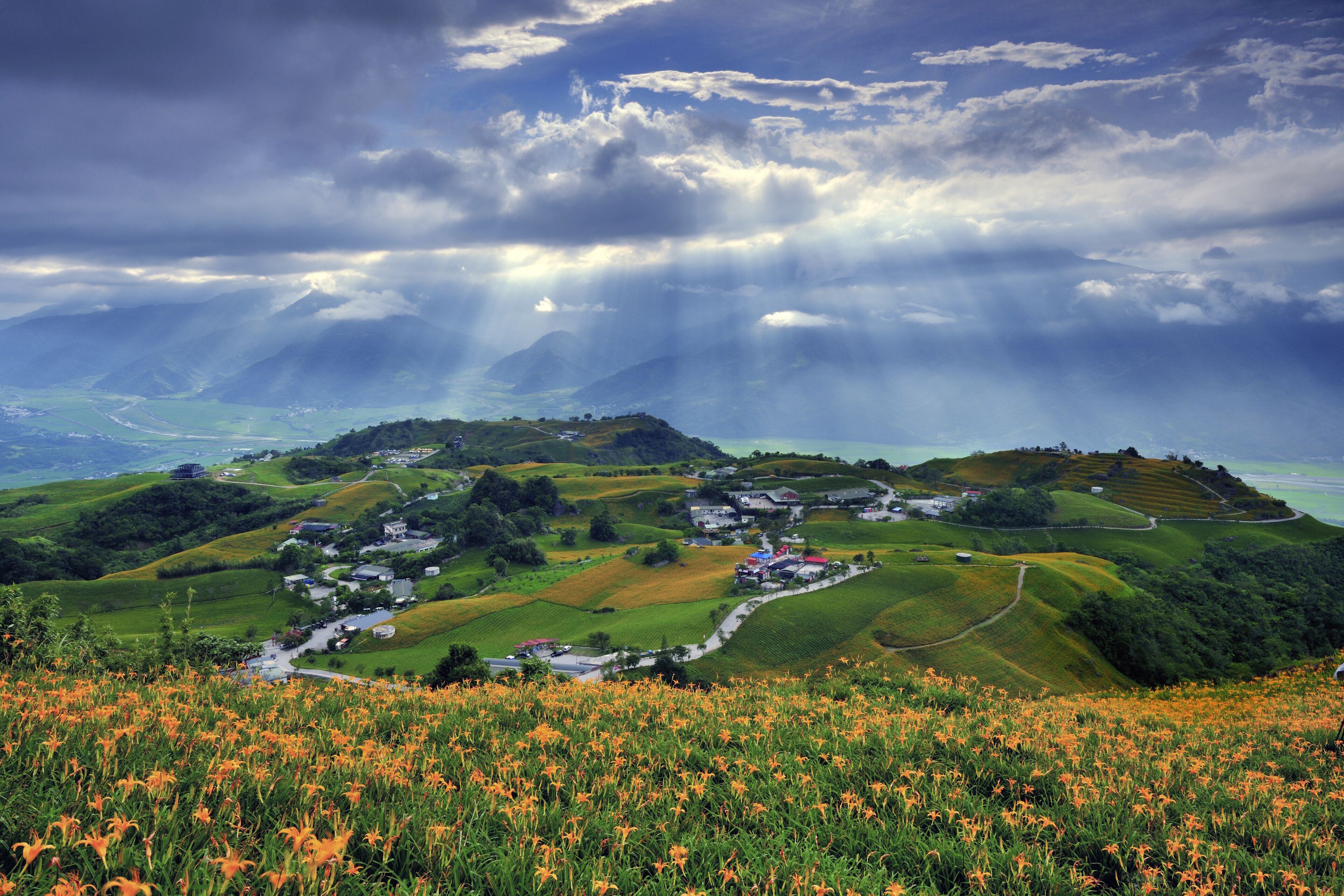 Sunlight shadow upon the Lily flower farm in Hualien County Taiwan