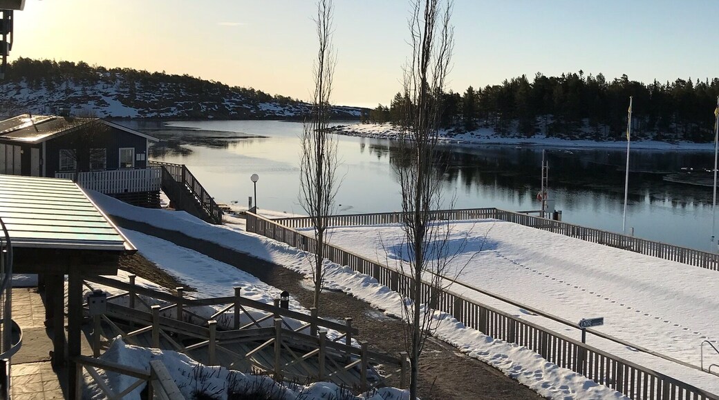 Sunny morning in Northern Sweden☀️