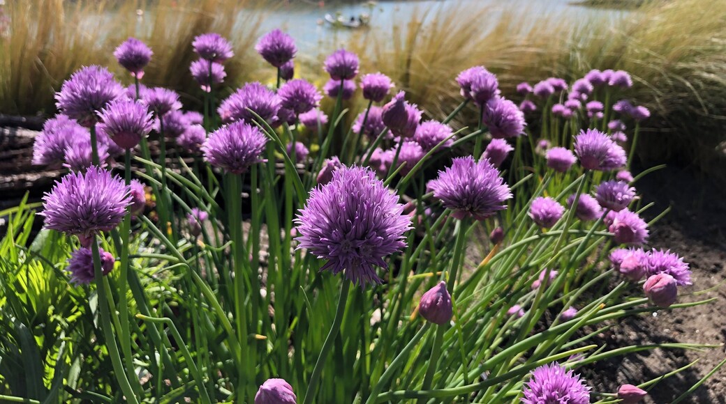Furry Creek, sea to sky highest, BC