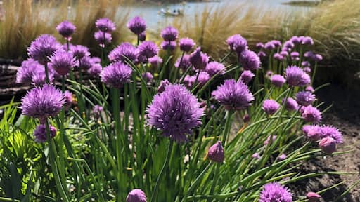 Furry Creek, sea to sky highest, BC