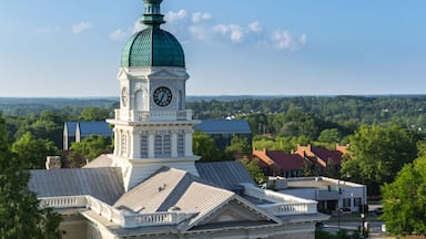 A clock tower with a green dome and an eagle atop, surrounded by trees and buildings.