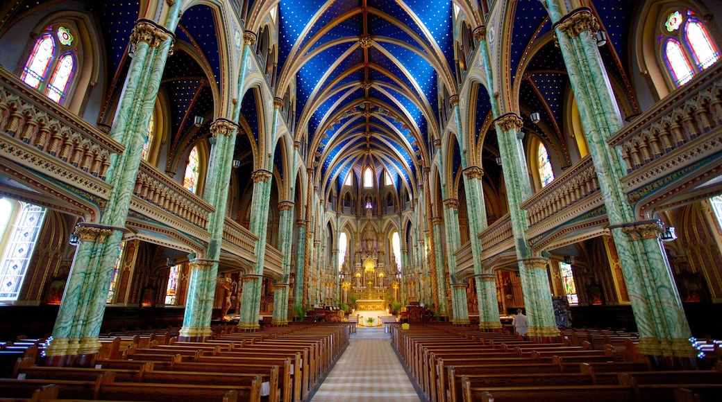 Notre-Dame Cathedral Basilica showing a church or cathedral, heritage architecture and religious elements