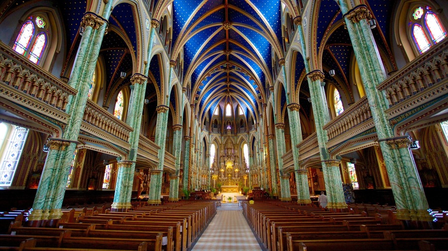 Notre-Dame Cathedral Basilica showing a church or cathedral, heritage architecture and religious elements