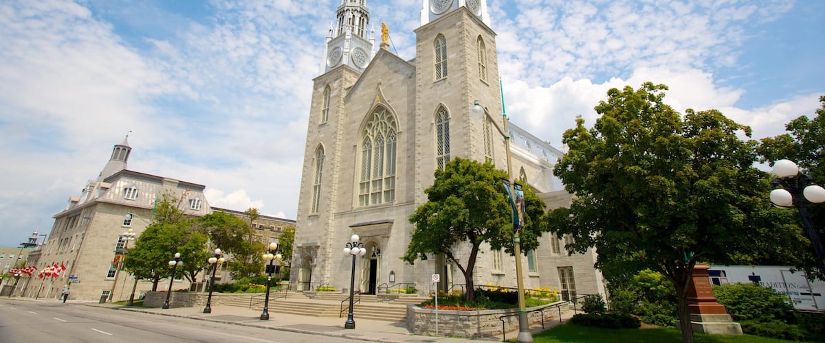 Catedral de Notre-Dame ofreciendo aspectos religiosos, una iglesia o catedral y elementos del patrimonio