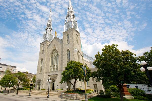 Basilique-cathédrale Notre-Dame mettant en vedette église ou cathédrale, éléments religieux et patrimoine architectural