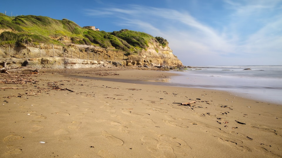 A sandy beach with footprints and driftwood, a cliff with greenery, and the ocean in the background.