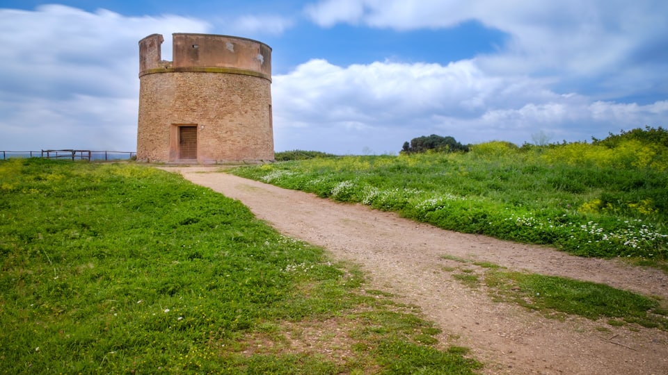 A circular stone tower with a dirt path leading to it, surrounded by green grass and wildflowers.