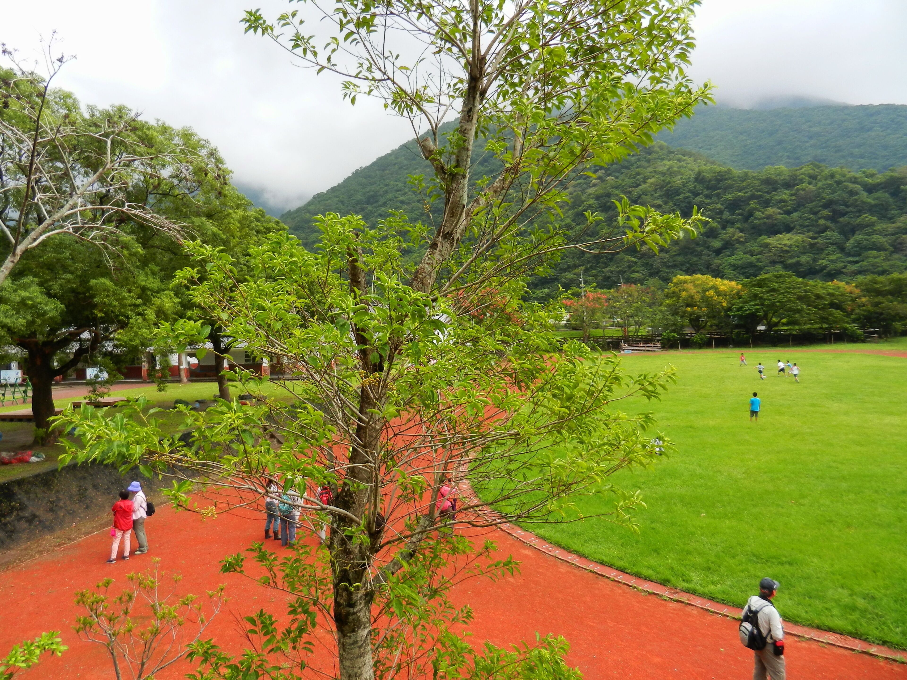 Dongao Elementary School 東澳國小