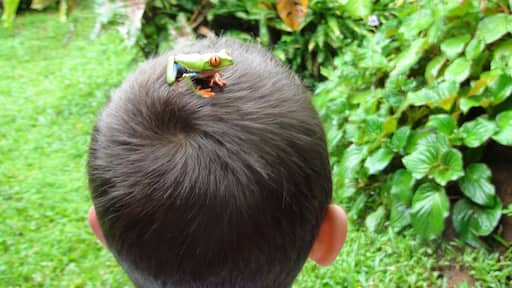 That must be princess...
#kidsfun #outdoor #familytrips