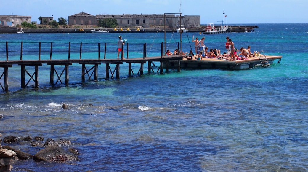 Asinara, literally 'the island of donkeys', was once a prison-island and now it has been converted into one of the most amazing national parks in Italy! Not to mention that there's a turtles rehab centre, and boars everywhere!