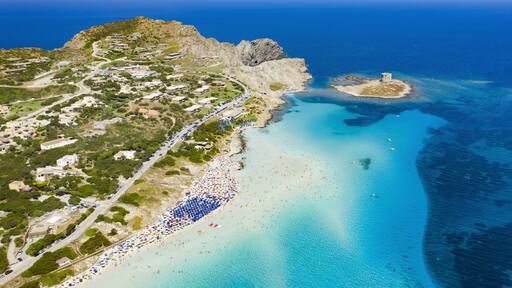 Stunning aerial view of the Spiaggia Della Pelosa (Pelosa Beach) full of colored beach umbrellas and people sunbathing and swimming in a beautiful turquoise clear water. Stintino, Sardinia, Italy.
