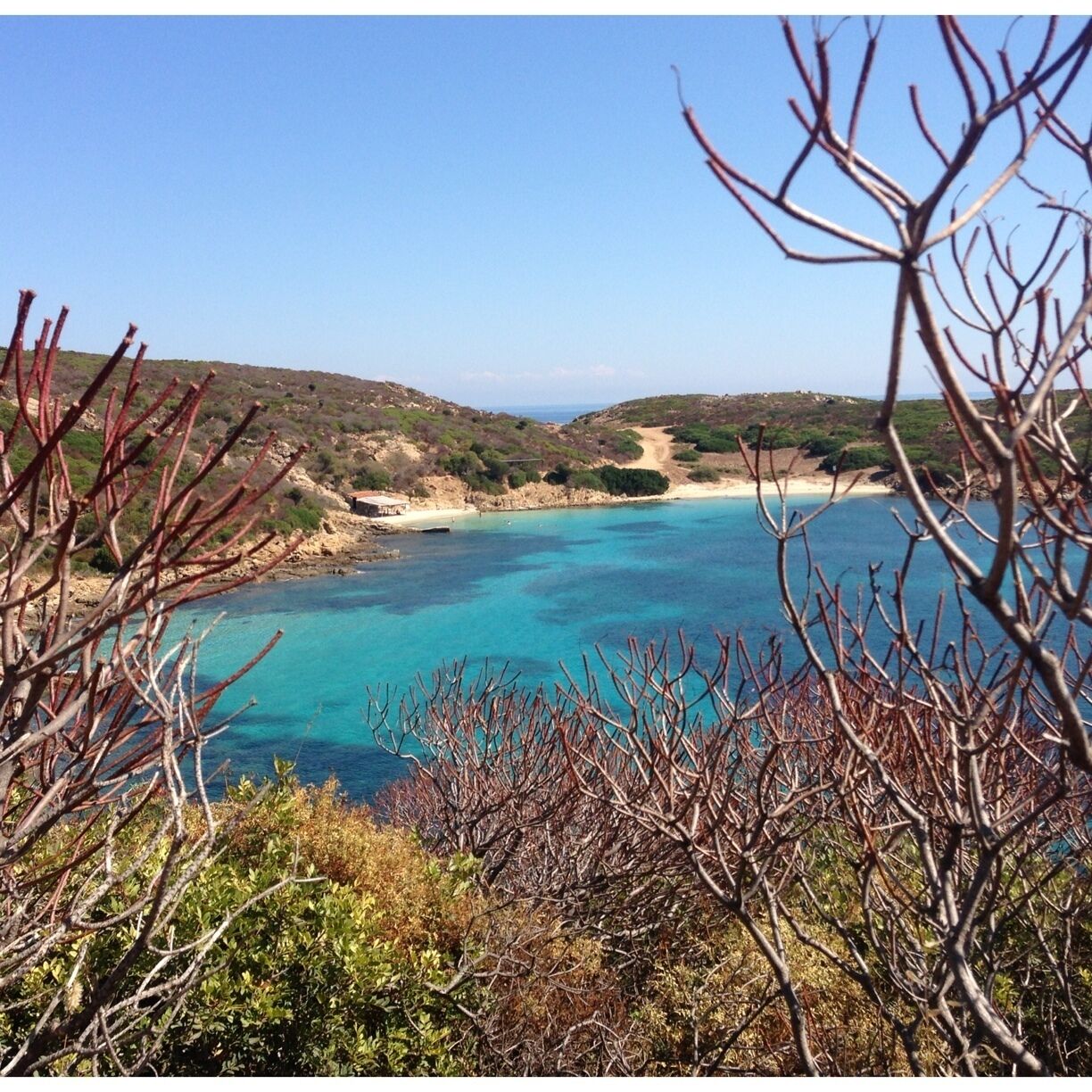 a national park on an island at the north east coast of Sardegna, Italy. great area to explore in long hikes through rough terrain, meet wild bores, white donkeys, goats, and find beautiful hidden beaches like this one with crystal clear turquoise water full of fish and coral.