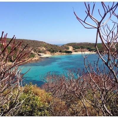 a national park on an island at the north east coast of Sardegna, Italy. great area to explore in long hikes through rough terrain, meet wild bores, white donkeys, goats, and find beautiful hidden beaches like this one with crystal clear turquoise water full of fish and coral.