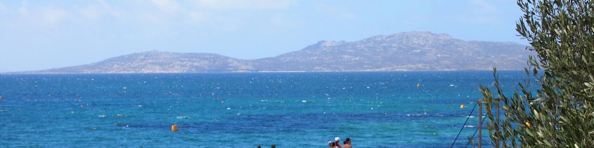 Asinara, literally 'the island of donkeys', was once a prison-island and now it has been converted into one of the most amazing national parks in Italy! Not to mention that there's a turtles rehab centre, and boars everywhere!