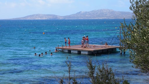 Asinara, literally 'the island of donkeys', was once a prison-island and now it has been converted into one of the most amazing national parks in Italy! Not to mention that there's a turtles rehab centre, and boars everywhere!