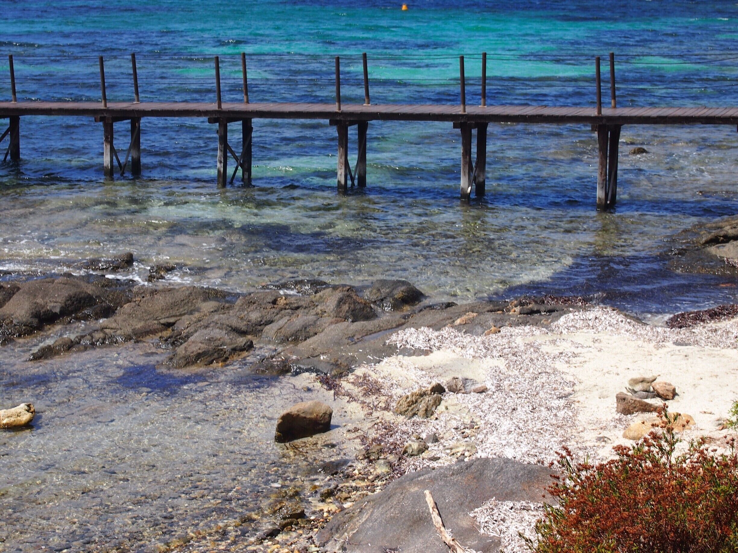 Asinara, literally 'the island of donkeys', was once a prison-island and now it has been converted into one of the most amazing national parks in Italy! Not to mention that there's a turtles rehab centre, and boars everywhere!