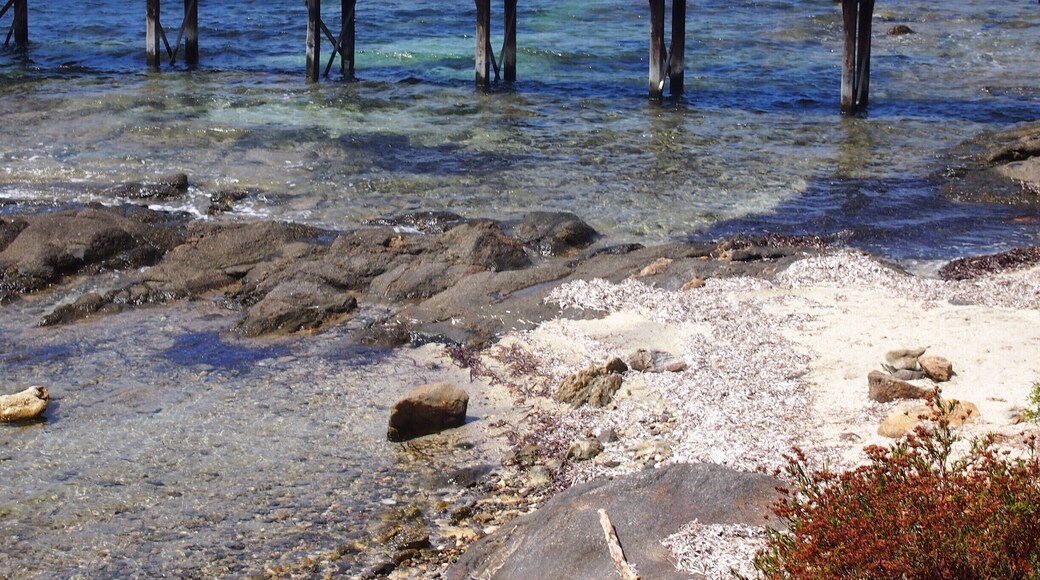 Asinara, literally 'the island of donkeys', was once a prison-island and now it has been converted into one of the most amazing national parks in Italy! Not to mention that there's a turtles rehab centre, and boars everywhere!