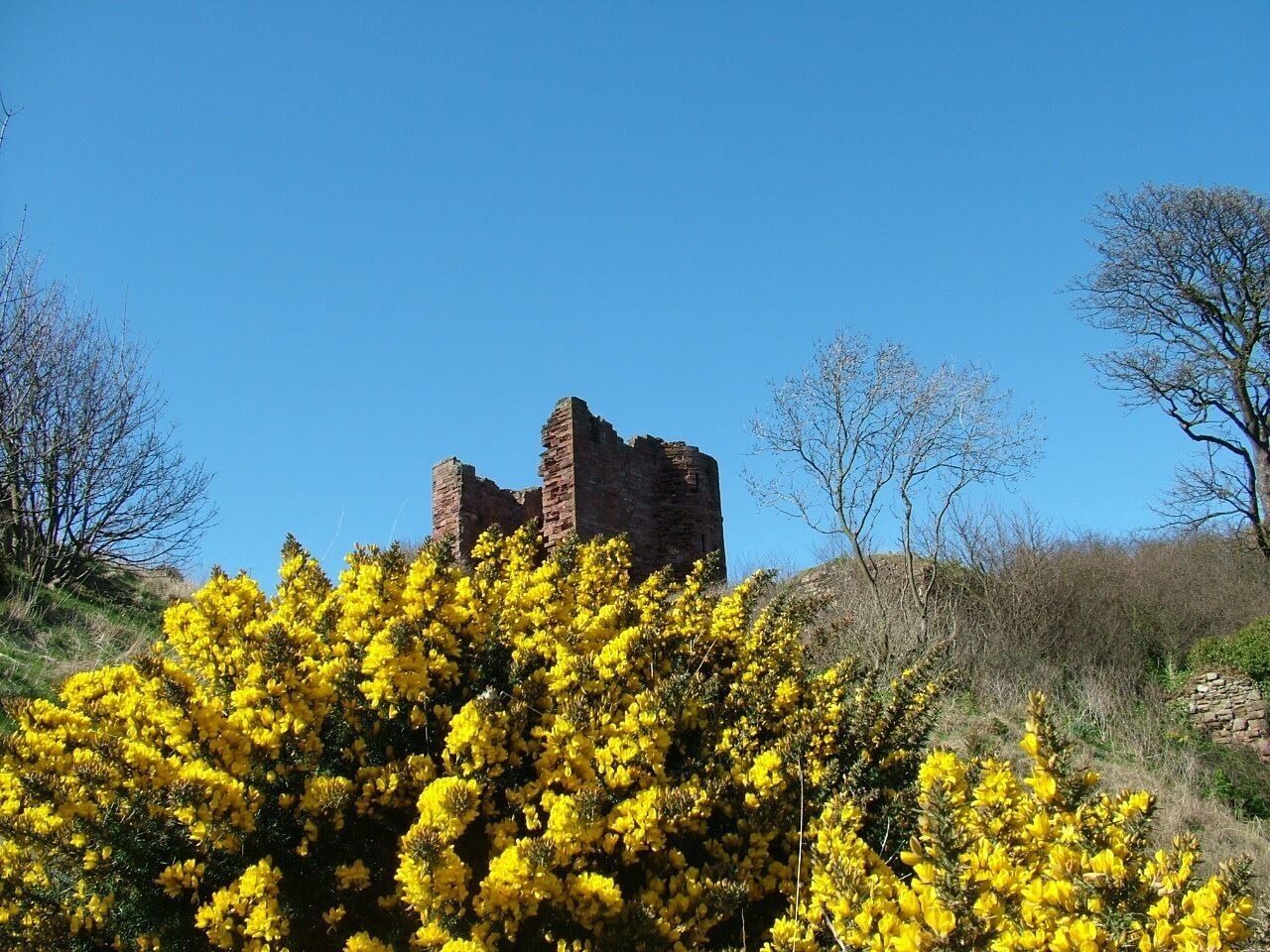 MacDuff Castle; Fife: Scotland