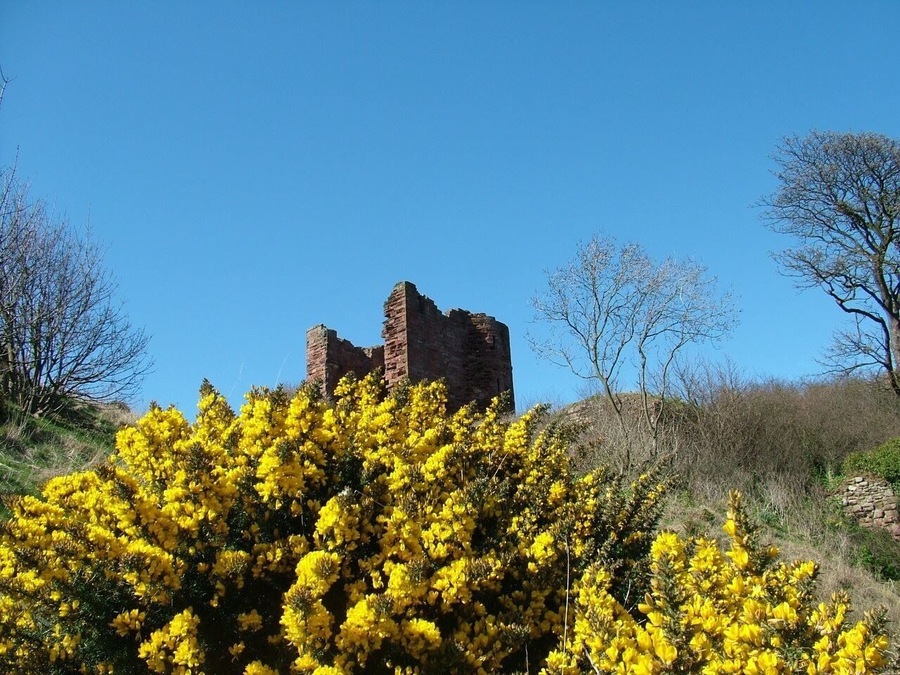 MacDuff Castle; Fife: Scotland
