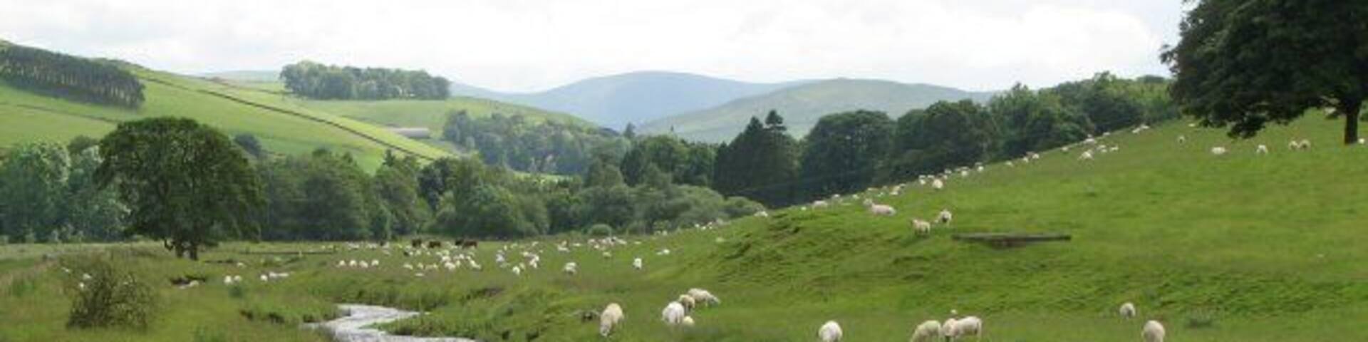 A river flowing through a green valley with sheep grazing on the hillside.