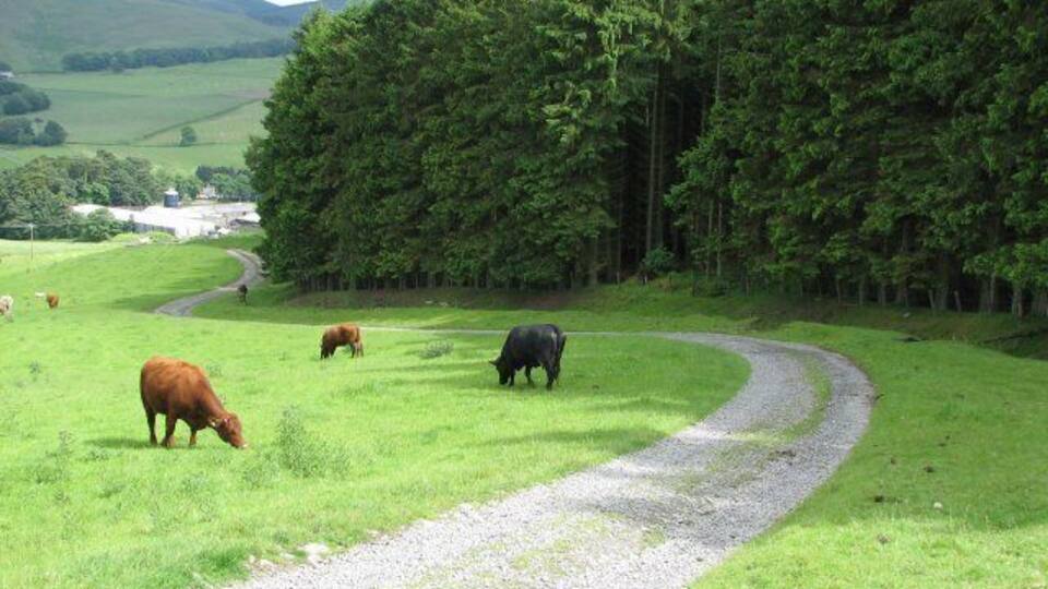 Farm track, Darnhall Mains Track leading downhill to Darnhall Mains farm (visible in the distance).