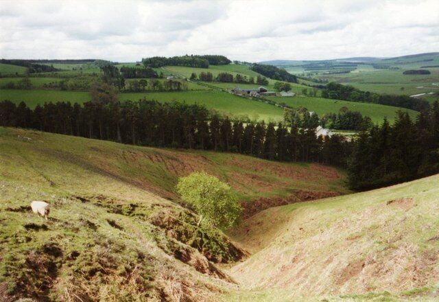 Gulley above Ellem Looking down on Ellem from the Southern Upland Way. The square ends at the road just beyond the nearer line of trees. The farm on the far hillside is Rigfoot.