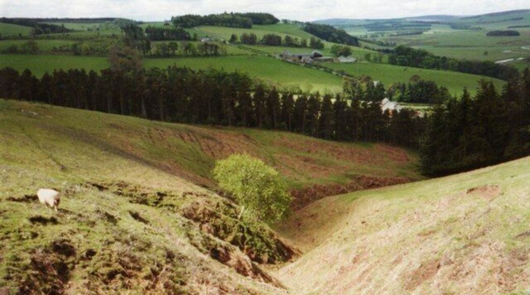 Gulley above Ellem Looking down on Ellem from the Southern Upland Way. The square ends at the road just beyond the nearer line of trees. The farm on the far hillside is Rigfoot.