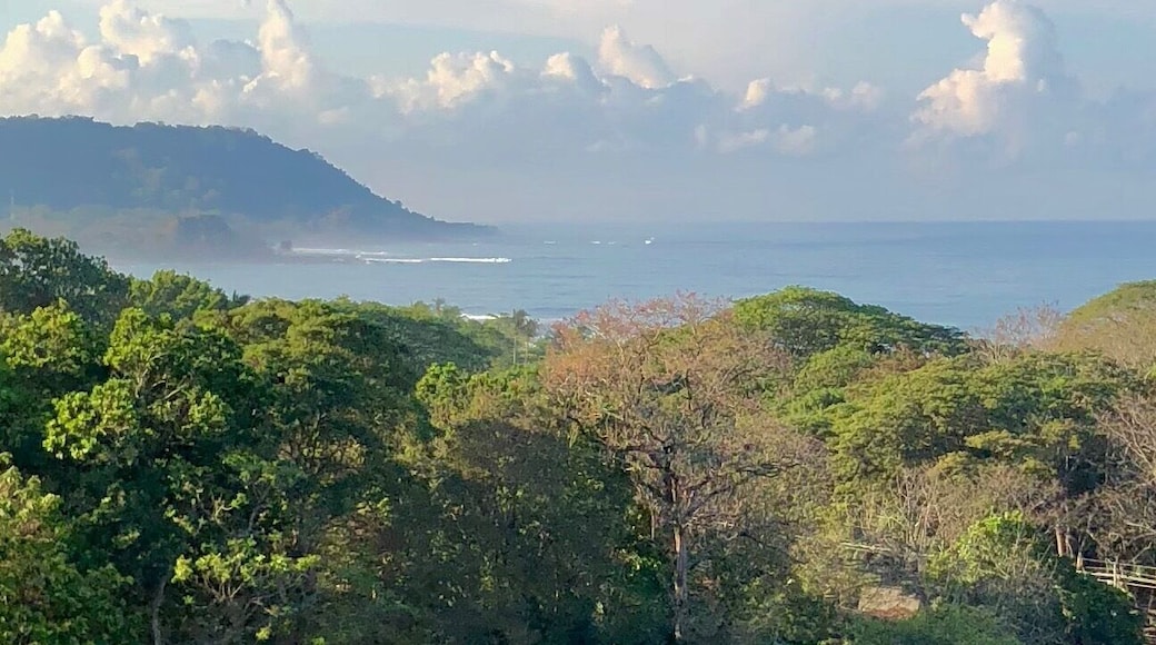 The view from our patio. The wonderful Hotel Casa Mar Bella was a grand place to spend a week!!!