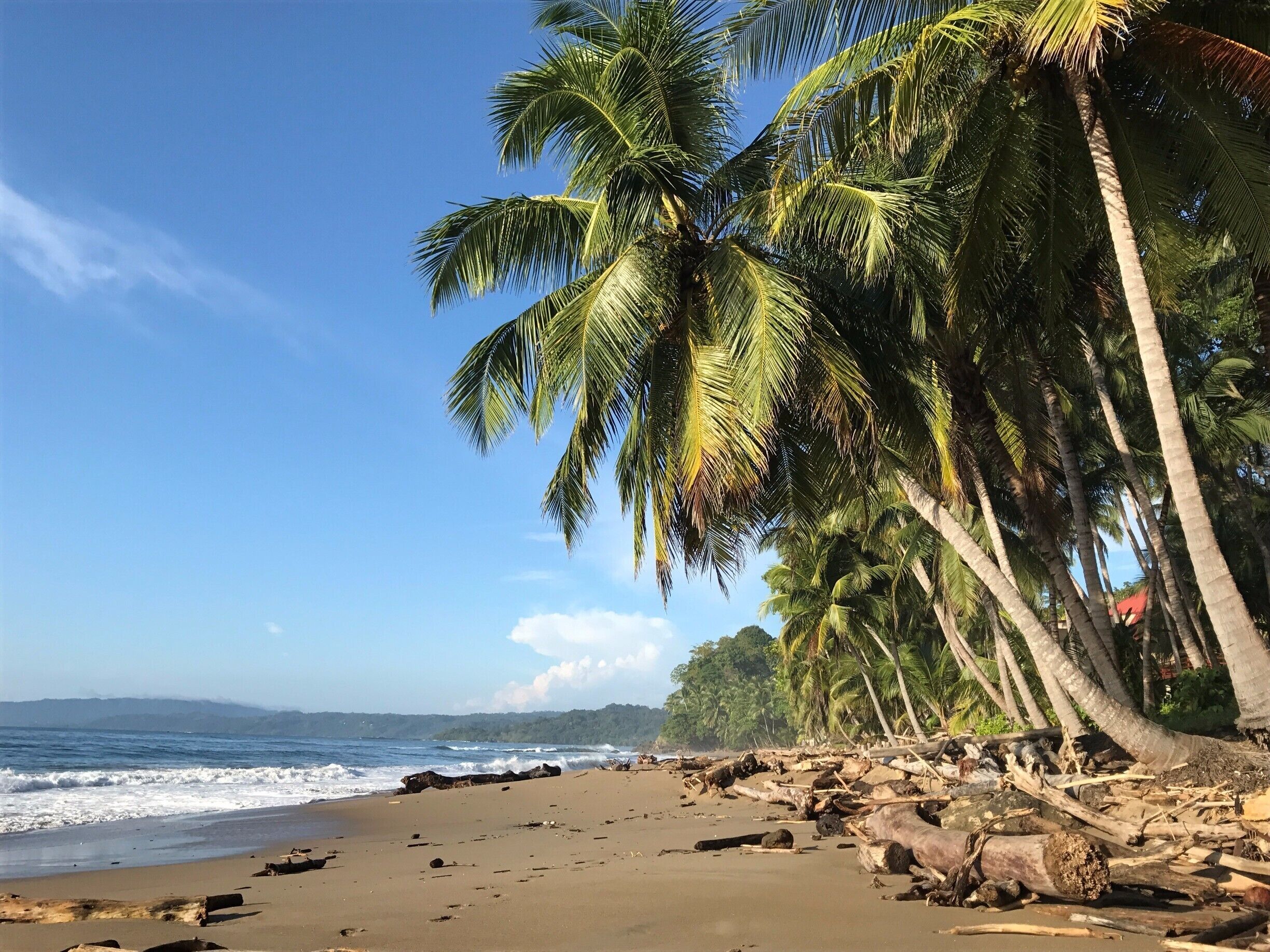 The blue skies are best just after sunrise :) #lifeatexpedia