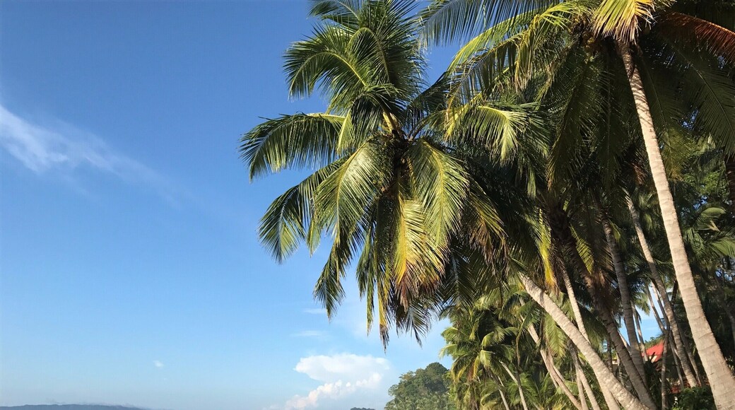 The blue skies are best just after sunrise :) #lifeatexpedia