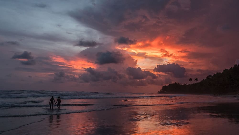 What a night this turned out to be. After a surf session, my kids talked me into going back down to the beach, and we were rewarded with this! #adventure