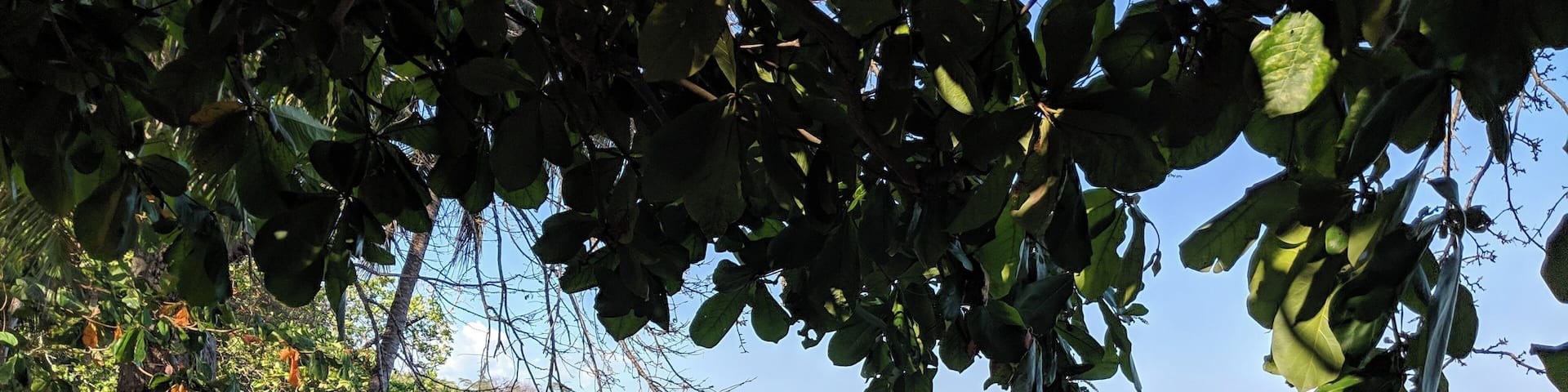 Cabuya. February 2019.
An “eco boutique” hotel, with a lodge vibe to it. Swimming pool and kitchen for cooking provided. Make some friends and enjoy a beach bbq for dinner.