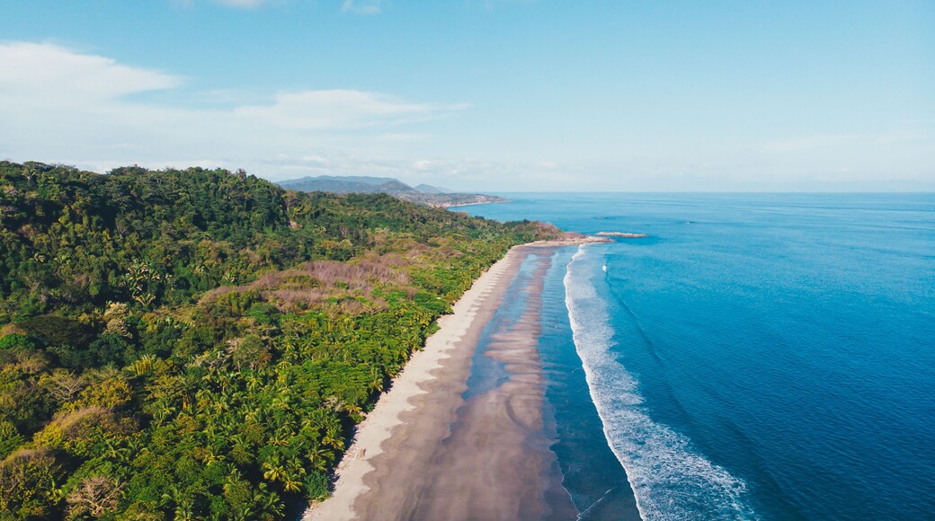 Playa Grande beach - Montezuma