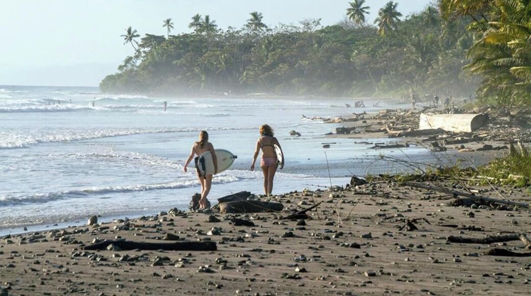 I had a chance to visit Santa Teresa for a friends wedding. It's a small dusty surf town located on the Pacific Ocean side of Costa Rica on the Nicoya Peninsula.
It's pretty laid back and simple however it's home to some of the most beautiful beaches in all of Costa Rica and has been hailed as world-class surfing spot and popular yoga retreat destination. The town itself is just a stretch of road consisting mostly of small shops, sodas (family run restaurants), and plenty of places to rent ATVs.
Despite it's difficulty to get to it's slowly becoming a travel destination with talk paving the access roads in the coming years.
#AquaTrove