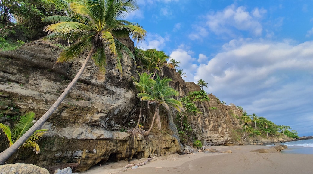 This wall of nature is located in Tango Mar, kind of middle of nowhere but with an spectacular beauty, Tango Mar is a Costa Rica Beach in Nicoya Peninsula, one of the five Blue Zones of the world where many locals lives over a hundred years.
#LifeAtExpediaGroup