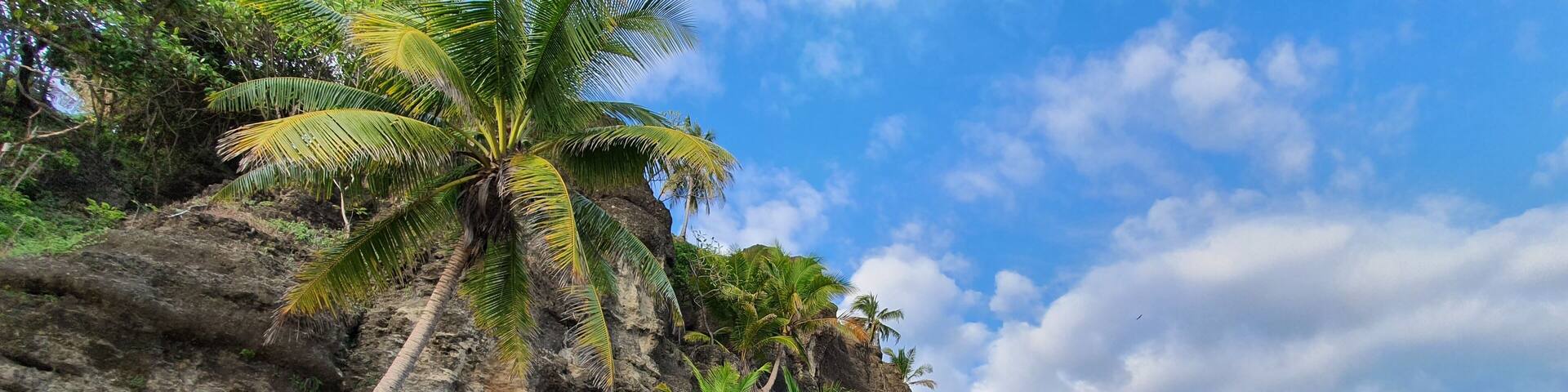 This wall of nature is located in Tango Mar, kind of middle of nowhere but with an spectacular beauty, Tango Mar is a Costa Rica Beach in Nicoya Peninsula, one of the five Blue Zones of the world where many locals lives over a hundred years.
#LifeAtExpediaGroup