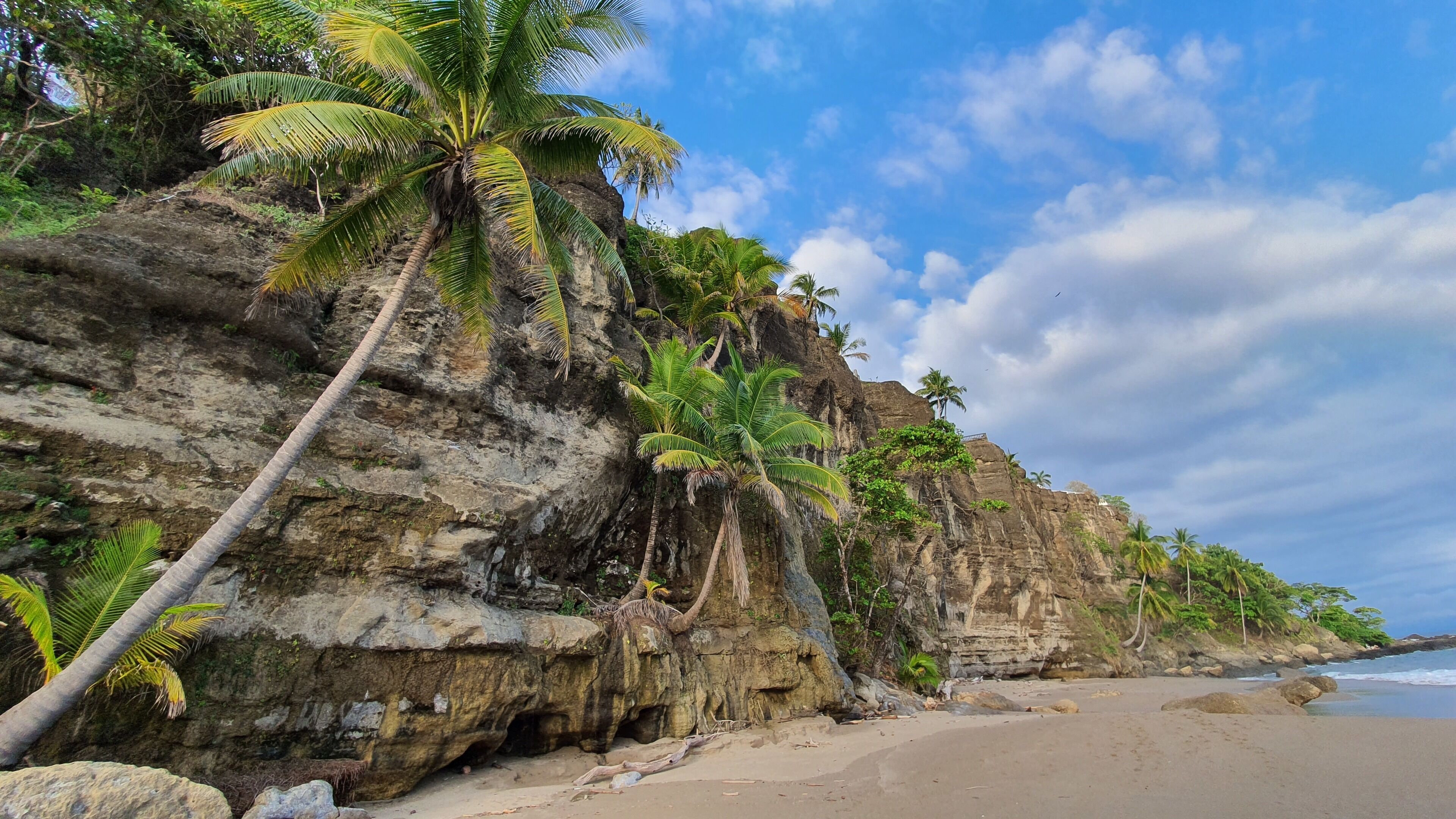 A beach with palm trees and rocky cliffs.