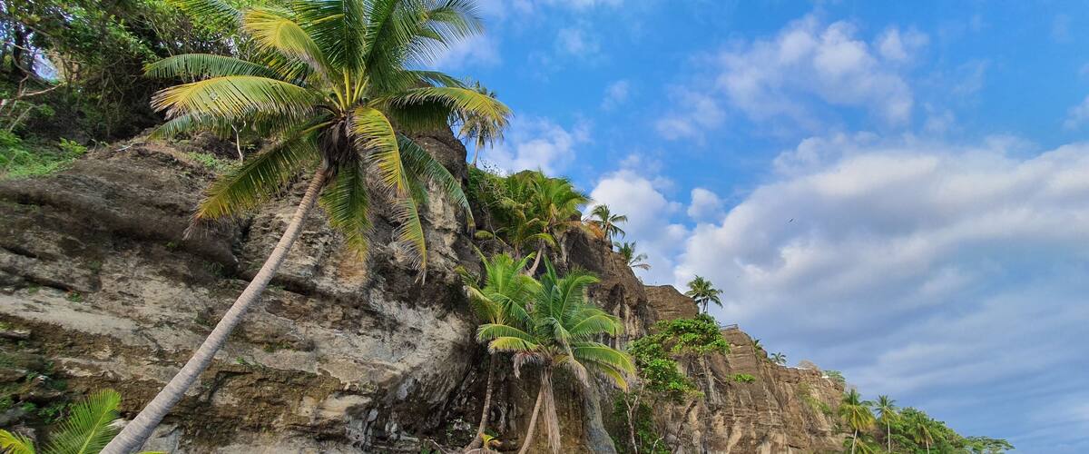 A beach with palm trees and rocky cliffs.