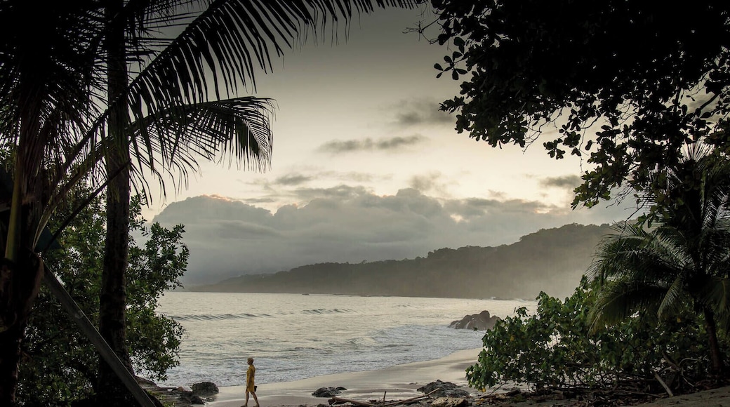 Montezuma is one of the best traveller´s hang-outs on Costa Rica´s Pacific coast. Great Beaches, surf, locals and accomodation